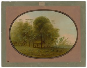 Arowak falu alkotó: George Catlin
