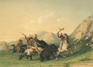 A Grizzly Bear megtámadása alkotó: George Catlin