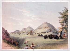 Bölényvadászat alkotó: George Catlin