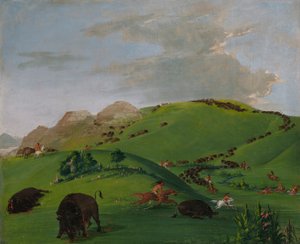 Buffalo Chase, a Yellowstone torkolatánál alkotó: George Catlin