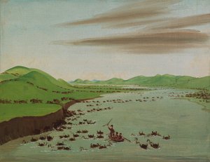 Bivalycsordák átkelnek Missouri felső részén, 1832.