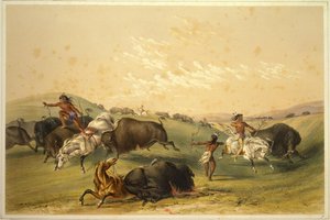 Bölényvadászat: Számos csoport alkotó: George Catlin