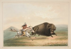 Buffalo Hunt, Chase, pl. 5 az észak-amerikai indiánok portfóliójából alkotó: George Catlin