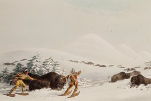 alkotó: George Catlin