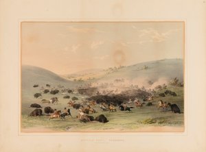 Bölényvadászat körítés--no. 9 alkotó: George Catlin