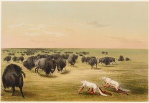  alkotó: George Catlin