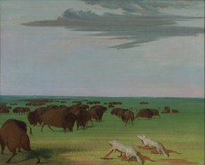 Bivalyvadászat a farkasbőr maszkja alatt, 1832-1833. alkotó: George Catlin
