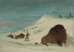 Buffalo Lancing a hószállingózásban – Sioux, 18611869. alkotó: George Catlin