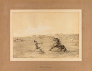 A vadlovak elkapása - nem. 4 alkotó: George Catlin