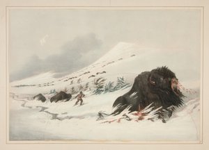  alkotó: George Catlin
