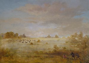 Őszi prérin legelésző jávorszarvas, 1846-1848. alkotó: George Catlin