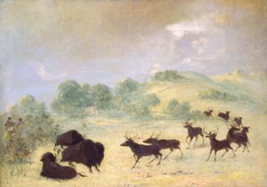 Elk és bölény ismerkedés, Texas alkotó: George Catlin