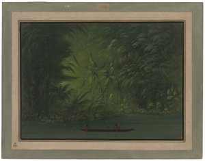 Bejárat a lagúnába, az Amazonas partján alkotó: George Catlin
