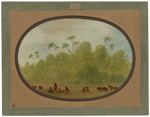  alkotó: George Catlin