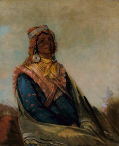Hól-te-mál-te-téz-te-néek-ee, Sam Perryman alkotó: George Catlin