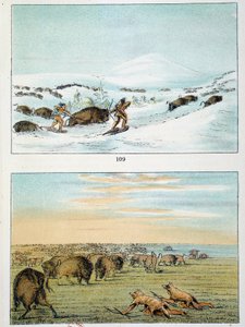Amerika indiánjai. Bison vadászat: Az indiánok télen hócipőt viselnek a vadászathoz, nyáron pedig farkasbőrrel takaróznak. George Catlin (1794-1872) illusztrációja. alkotó: George Catlin
