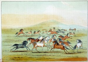 Amerika indiánjai: indiánok által vadászott vadlovak. Illusztráció: George Catlin (1794-1872) alkotó: George Catlin