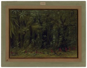 Egy Amazonas-erdő belseje - Zurumati alkotó: George Catlin