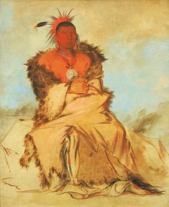 Loo-rá-wée-re-coo, Madár, aki háborúba megy, egy Tapage Pawnee alkotó: George Catlin