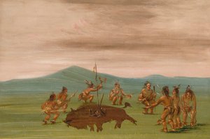 A sziúk orvosságos bölénye alkotó: George Catlin