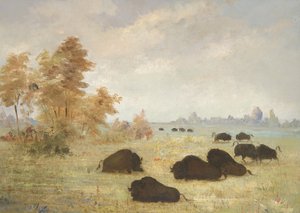 Stalking Buffalo, Arkansas alkotó: George Catlin