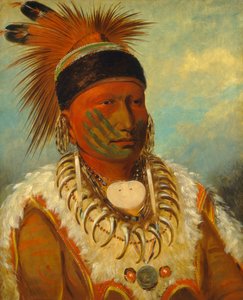 A fehér felhő, az Iowas állam főfőnöke alkotó: George Catlin
