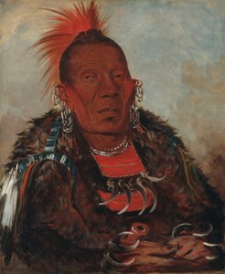 Wah-ro-née-sah, A Körülálló, a törzs főnöke alkotó: George Catlin