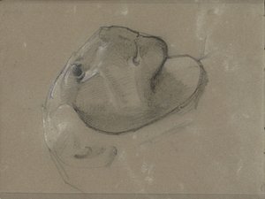 Oroszlánfej, feltehetően egy szobor után alkotó: George Clausen