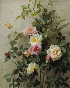 Rózsák a falon, 1877