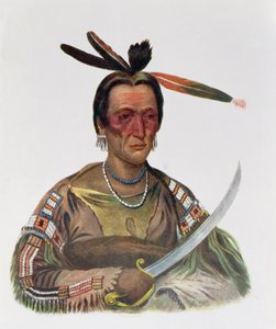 To-Ka-Cou, a yanktoni sziúk főnöke, 1837, illusztráció a „The Indian Tribes of North America, Vol.1”, Thomas L. McKenney és James Hall, pub. írta John Grant alkotó: George Cooke