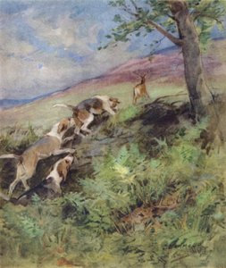 Illusztráció: Egy gímszarvas története (színes litó)
