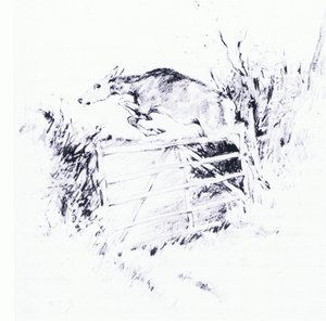 Mint nyíl az íjból (litho) alkotó: George Denholm Armour