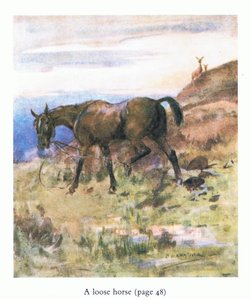 A laza ló (színes litho)