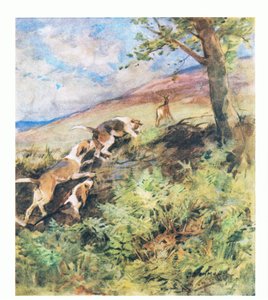 Az öreg szarvas Rozsdás ágyában feküdt, míg a fiatalabb szarvas elindult, üldöző kutyákkal (színes litho)