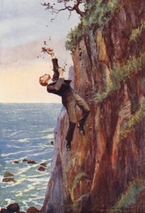 Vad sikollyal zuhant fejjel lefelé (színes litho)