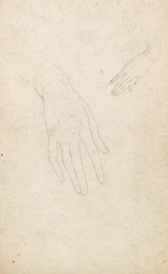 A kezek tanulmányozása