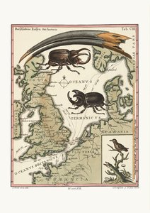 Az egyiptomi íbisz számlája és a legkisebb kolibri, 1749-73