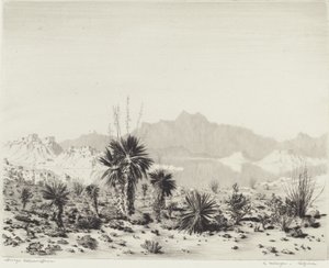 Mirage, Arizona alkotó: George Elbert Burr