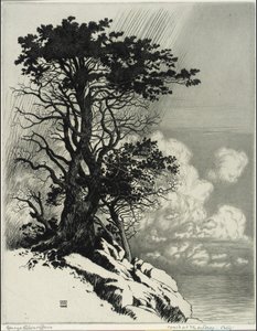 Monterey partja, Kalifornia alkotó: George Elbert Burr