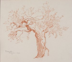 Fiesole alkotó: George Elbert Burr