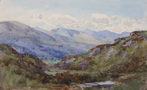 Felülről Pont-y-Pant, 1899. alkotó: George Elbert Burr