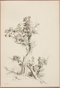 Manitou alkotó: George Elbert Burr