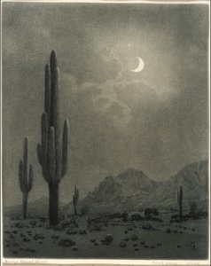 Újhold és esthajnalcsillag, Phoenix alkotó: George Elbert Burr