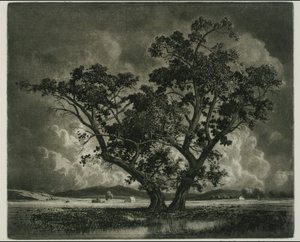 Old Cottonwoods, Colorado alkotó: George Elbert Burr
