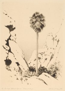 Palm Canyon (1. sz.) alkotó: George Elbert Burr