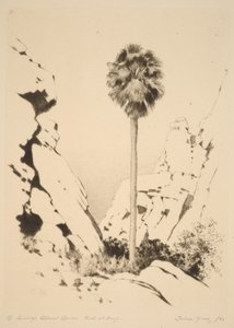Palm Canyon (1. sz.) alkotó: George Elbert Burr