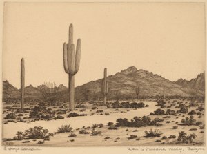 Út a Paradise Valley-be, Arizonába