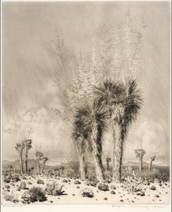 Tavasz, Paradise Valley, Arizona alkotó: George Elbert Burr