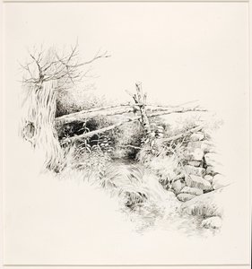 Cím nélkül (Woodland Stream) alkotó: George Elbert Burr