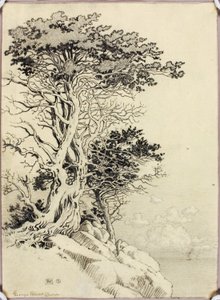 Cím nélkül (rajz nyomtatáshoz) alkotó: George Elbert Burr